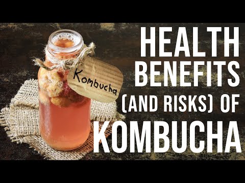 NEW Science on KOMBUCHA Tea Health Benefits | Is Kombucha ACTUALLY Good for Gut Health?