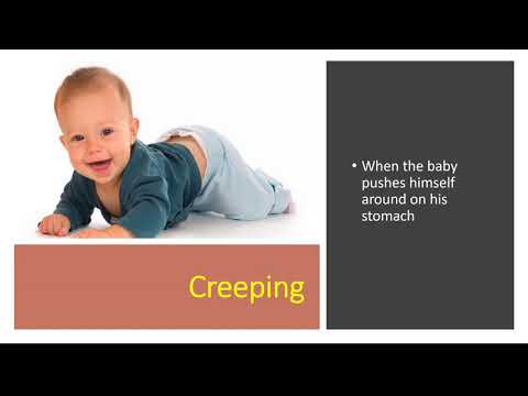 Infant Lesson Child Development