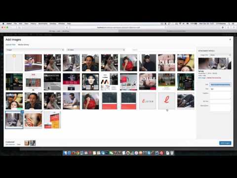 Update Lotek wordpress theme to version 2.0