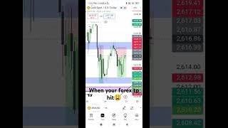 Forex market funded account#the5ers #fundednext #fundedtraders #funderpro