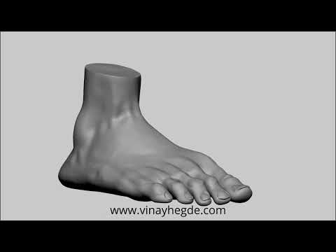 Foot sculpting in ZBrush