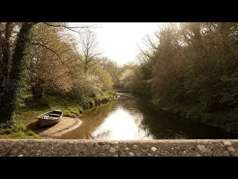 1 Hour Jazz Restful | Instrumental for Meditation 🌸