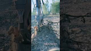 #agritools #farmer life #tonglufeng #agriculture #agritool #youtubeshorts #viral