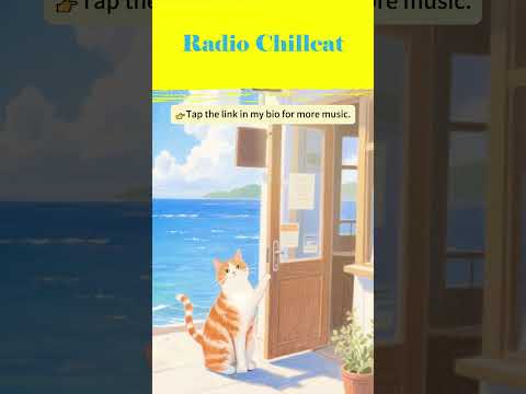 A quiet moment in the chaos — Lo-fi walks me through it all. #chillhop #cat #lofihiphop #lofi #cute