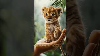 Cute beby #virtualart #techcreatives #artificialimagination #digitalcreation #machinelearningart #in