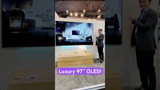Why the Biggest & Smallest OLED TVs Are Designed Differently