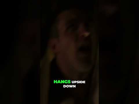 Horrified Reaction to Body Discovery: Uncover the Dark Truth! #shorts