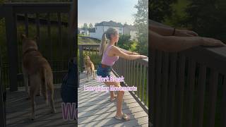 Work Break Workout! #homeworkout #fullbodyworkout #quickworkout #energyboost