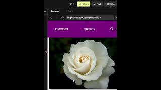 payment feature in flower marketplace react app#100daysofcode