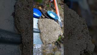 Narrated Gold Panning in a Mountain Stream – Real Gold Found!