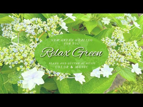 BGM of fresh green, Relax with piano and guitar music [Healing Color and Music].
