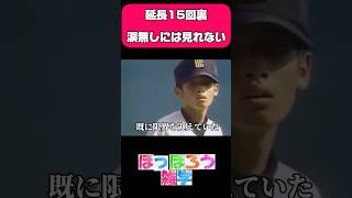 涙無しには、見れない甲子園#感動#高校野球#野球#甲子園#雑学
