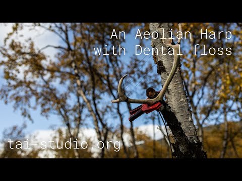 Dental Harp — Kilpisjärvi 2023