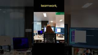 What is Software Development? | The Art of Crafting User-Friendly Software