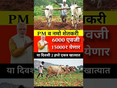 pm व नमो शेतकरी 6000 ऐवजी 15000 हजार रुपये येणार या दिवशी दोन होते एकत्र खात्यात #shorts #trending