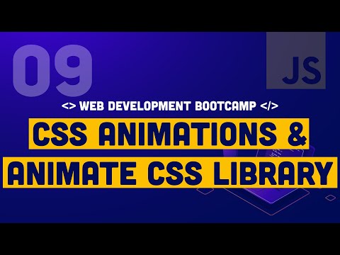 9. CSS Animations and Animate CSS Library