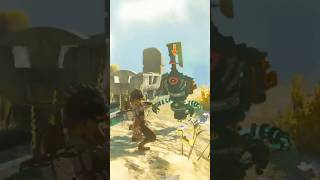 Link vs. Constructs! #thelegendofzeldatearsofthekingdom