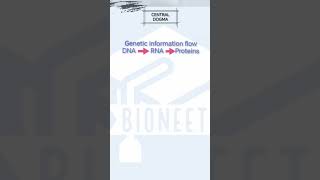 Molecular Basis of Inheritance | Central Dogma