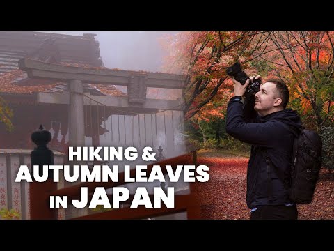 Tokyo's Mystical Mountain & Autumn Leaves | Solo Hiking In Japan