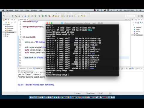 C++ Introduction to Regular Expression (Using Regex Library)