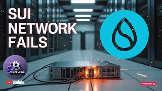 SUI Network Outage Explained: What It Means For Your Investment