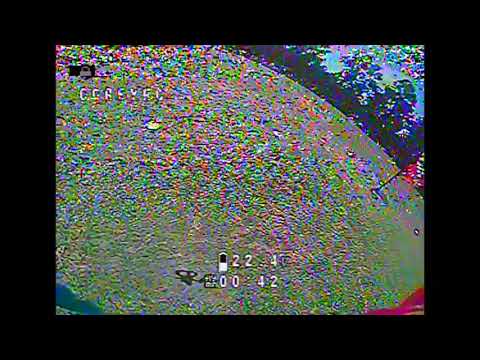 Wolfpack August Race (Finals 1v1 vs Hyper. 2nd Place)