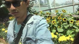 VidFeb 66-85