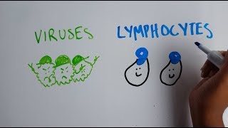 2017 Breakthrough Junior Challenge: Viruses, Vaccines, and the Immune System