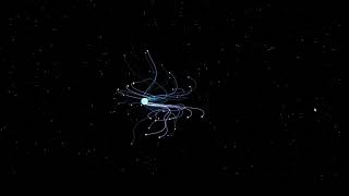 cursor hover effect css | Free Source Code | full page cursor hover animationa in html and css