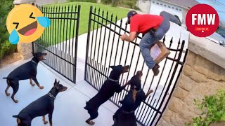 Try Not To Laugh 🤣 Top 100 Funniest Videos Ever 😂 | Funny Videos Compilation 2025 #12