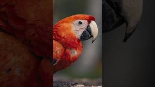 The power of colorgrading | Canon R6 CLOG3