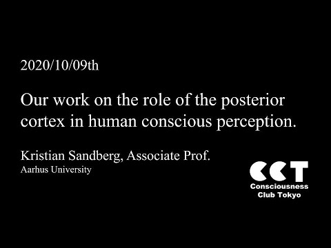 Our work on the role of the posterior cortex in human conscious perceptionby Kristian Sandberg