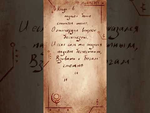 Паук бесчестный