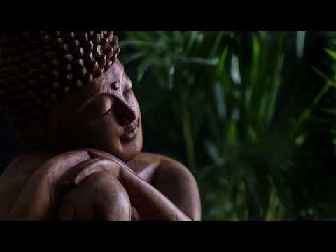 Love Is My Cure | Flute Meditation