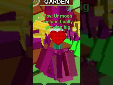 Moon melons finally growing big 🙏 #roblox #fypシ゚viral #moonmelon