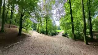 Meditative Walk Through Mariëndaal Arnhem #asmr #forest #walking