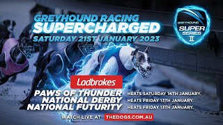 TheDogs Live Stream - 2023 G1 Ladbrokes Paws Of Thunder Grand Final Night
