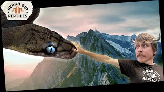 How To Train Your Reticulated Python