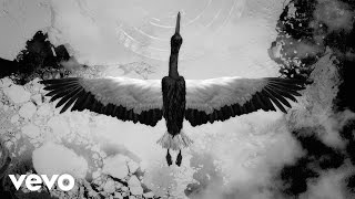 Of Monsters and Men - Slow And Steady (Official Lyric Video)