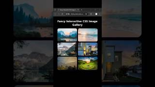 Build Beautiful CSS Image Galleries with Hover Effects!