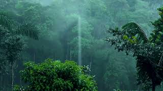 Best Rain Sounds For Sleeping - 10 Hours Soothing Rain Sounds - White Noise For Deep Sleep, Relax