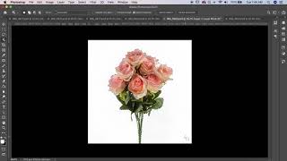 How to use object selection tool