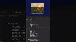 Image Zoom on hover | CSS trick | For beginners