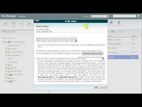 The Basics of cPanel's File Manager