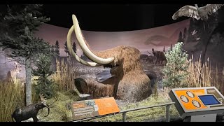 Crazy things you don't know about Indiana