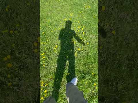 Prim-aura