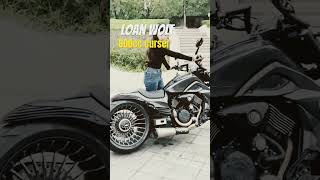 Loan wolf 800 cc crouser#visualjourney #shorts #travel