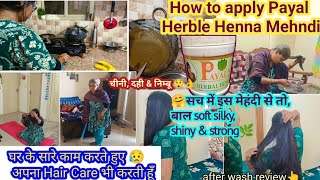 🌄ये Hair Care routine फॉलो करती हूँ ताकि Hair प्रोब्लम ठीक हो🤗🌿Payal Herble Henna कैसे Apply करें