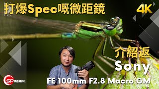打爆Spec嘅微距鏡頭 ｜ 介紹返 Sony FE 100mm F2.8 Macro GM 1.4 倍放大率