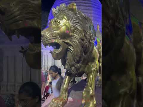 Kamakhya temple , Guwahati #brahmacharya #ganga #guwahativlog #travel #viralvideo